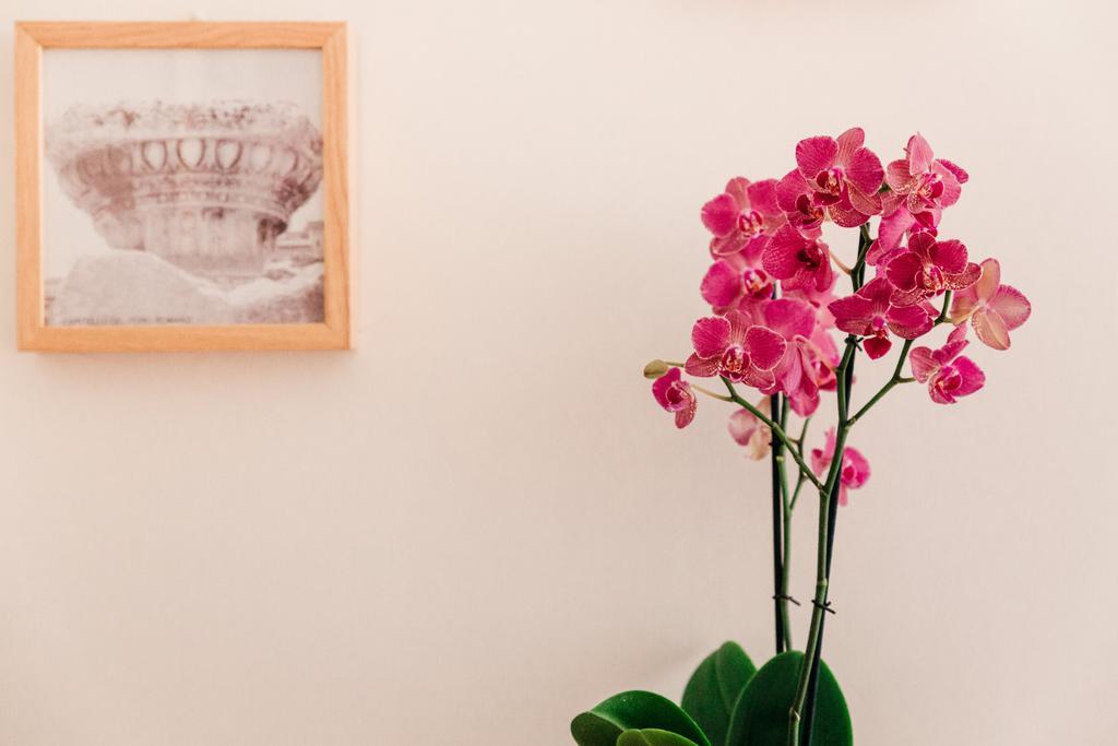 Adriano Augusto Bed & Breakfast Roma Phòng bức ảnh